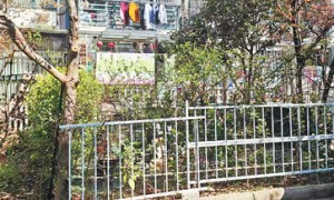 小区公共绿地被私人圈占（曝光）