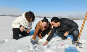 “加码”2025，新疆“西部粮仓”建设再发力