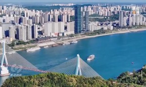 焦点访谈丨过去一年 代表委员见证了这些“百姓事”