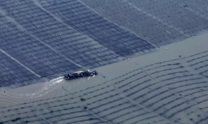 沃野逐春光——各地有序推进春耕备耕扫描