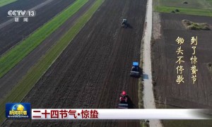 文化中国行丨二十四节气·惊蛰 春雷始鸣 万物蓬勃生发