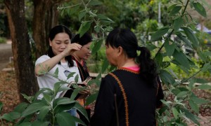 韦小丽代表说基层医疗变化：三个“多”与“少”