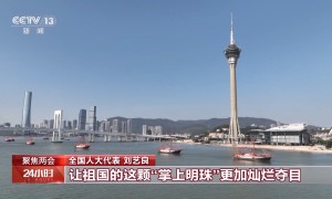 聚焦两会 开放团组丨澳门：发挥独特优势 打开发展新天地