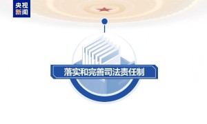 独家视频丨最高法工作报告来了！主要内容一文速览→
