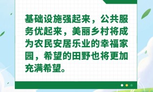 中经评论：宜居宜业 乡村振兴“一路生花”