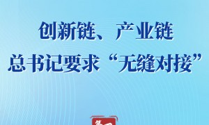 两会第一观察｜创新链、产业链，总书记要求“无缝对接”