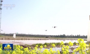 【在希望的田野上】各地春耕备耕有序推进