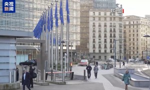 欧洲多方：贸易战不符合任何人利益 只会带来输家