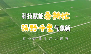 科技赋能春耕忙 沃野千里气象新——农业新质生产力观察