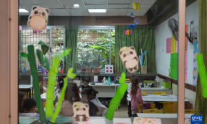 通讯丨一所阿根廷小学的中文教学实践