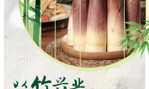 何以中国｜从竹子“七十二变”看竹乡绿色变迁