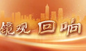 镜观·回响｜“铁杆朋友”的温暖相册