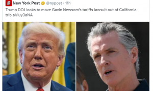 砸商人饭碗、乱农民生计……“美国反对美国”情景再现