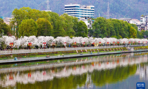 清明假期将至 热门目的地抢先看