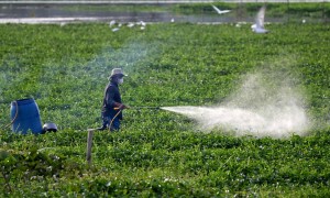 联播+｜中柬双向奔赴的两条“走廊”