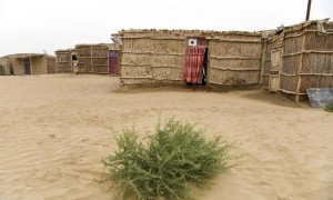 南疆“她体育”故事之一：因为睦邻而居，才好结队而赛