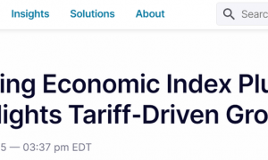 【世界说】关税政策引发美各界反对：12州提起诉讼，专家警告若不收手“绝对”会经济衰退