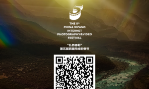 追寻赛马会中的欢腾｜藏域映象集