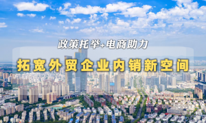 政策托举+电商助力 拓宽外贸企业内销新空间