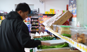 【乡路上，感受脉动中国】一条玉带连城乡 满车鲜翠出村来