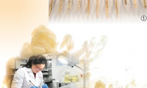 读取楚汉文化的千年“存储卡”（文化中国行·走进专题博物馆）