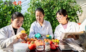 【央视快评】用创造拥抱新时代 以奋斗铸就新辉煌