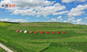 【央视快评】让祖国大地更加绿意盎然生机勃发