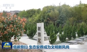 低碳祭扫 生态安葬成为文明新风尚