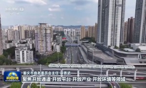 真抓实干 打开改革发展新天地丨深化制度型开放、打造内陆综合枢纽 解码沪渝发展新动力