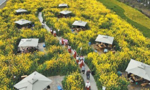 春和景明 消费场景上新（经济聚焦）