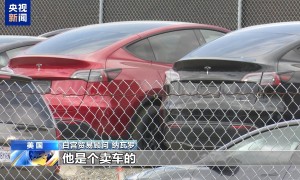 特朗普关税自残美国 美股竟靠“假新闻”救场