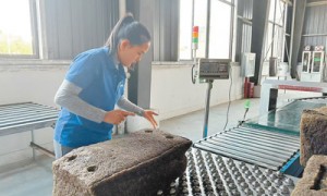 中国零关税政策红利惠及多国