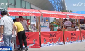 “过路站”升级为激活消费“流量密码” “交通+农文旅商”解锁发展新业态