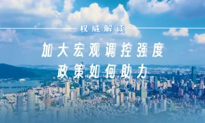 权威解读｜加大宏观调控强度，政策如何助力