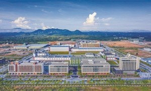 把绿能产业升级为零碳工业（人与自然·走进零碳园区（工厂）看转型）