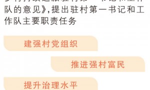 五位第一书记的乡情笔记（守望·特别策划）