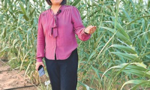 把“幸福草”带到更多地方（绿水青山守护者）
