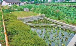 家门口更美 幸福感更足（美丽中国·身边的生态获得感②）