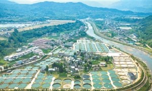 这些好吃的，中国都能产（经济新方位·特产背后的故事）