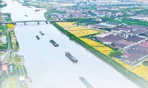 “那条清清的太浦河又回来了”（美丽中国）