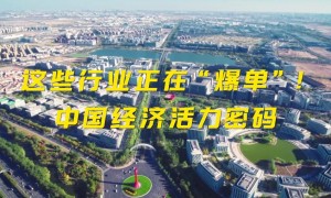 新华视点｜这些行业正在“爆单”！中国经济活力密码