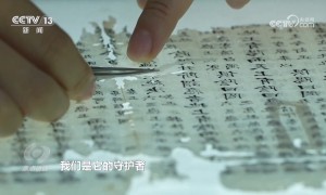 焦点访谈｜做好新时代古籍工作 让中华文明在字里行间绵延不绝