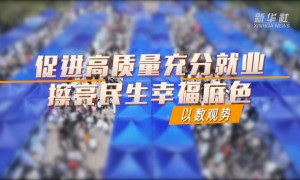 以数观势｜促进高质量充分就业 擦亮民生幸福底色