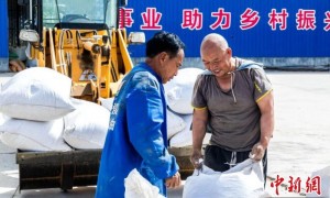 （乡村行·看振兴）山西襄垣：向“林”发力 借“绿”生金