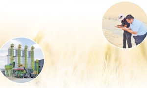 “叫我‘麦贩子’的乡亲少了”（三夏进行时）