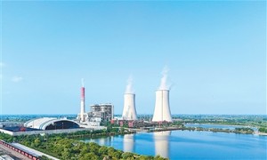 共护绿水青山 共建美丽家园（央企走出去·绿色发展）