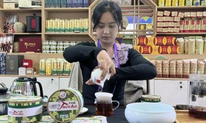 南博之约：法国咖啡邂逅云南普洱茶