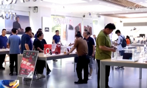 “学车热”“出游热”“销售热”……“暑期消费”人气拉满 夏日经济活力四射