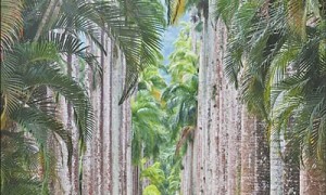 巴西多举措吸引国际游客