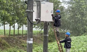 为了38户稻农的2000亩水稻